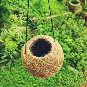 Vetiver planter