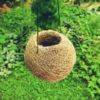 Vetiver planter